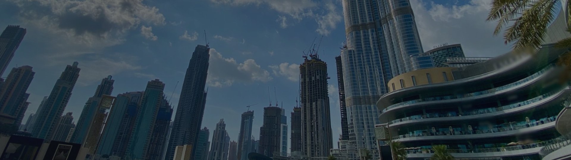 Trusted by ContractorsAcross Dubai & the UAE